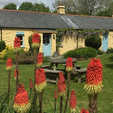 Charming Welsh Cottage Johnston エクステリア 写真